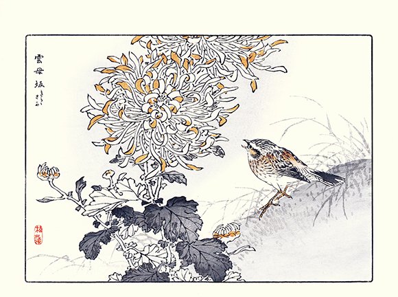photo17.jpg