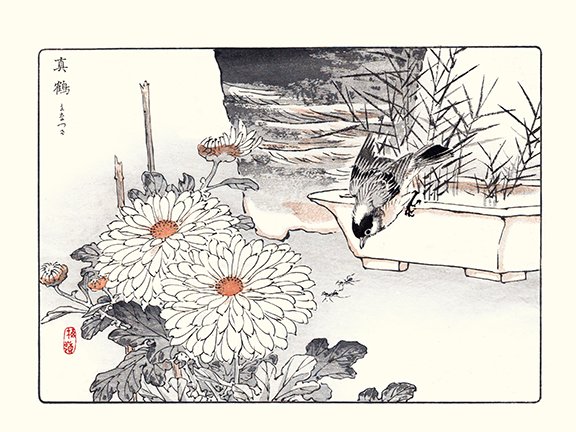photo22.jpg