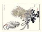 photo7_small.jpg