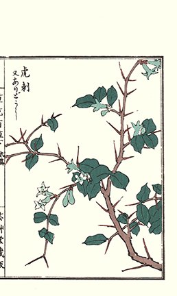 photo152.jpg