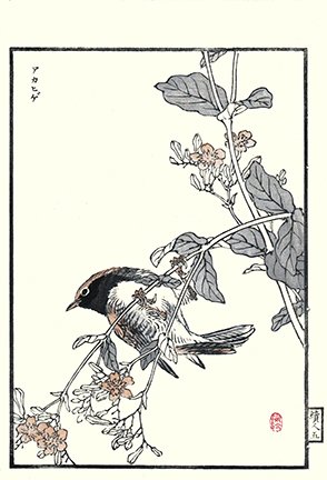 photo63.jpg