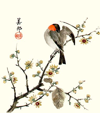 photo.jpg