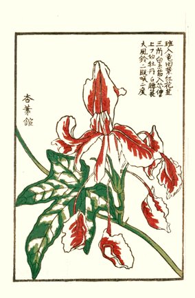 photo.jpg