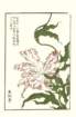 photo11_small.jpg