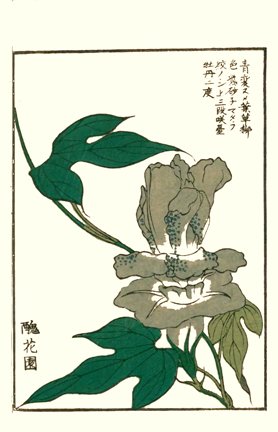 photo12.jpg