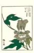 photo12_small.jpg