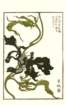 photo13_small.jpg