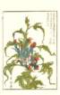photo14_small.jpg