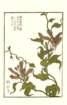 photo15_small.jpg