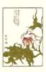 photo17_small.jpg