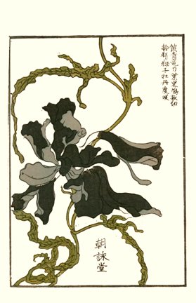 photo18.jpg