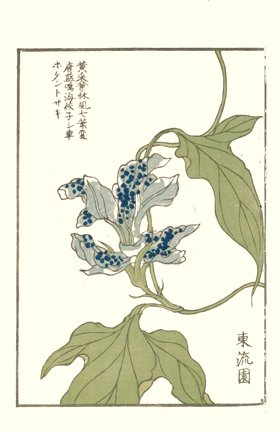 photo21.jpg