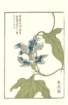 photo21_small.jpg