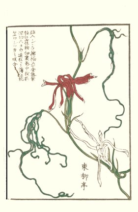 photo22.jpg