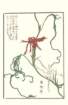 photo22_small.jpg