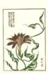 photo4_small.jpg