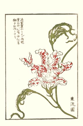 photo7.jpg