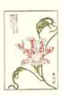 photo7_small.jpg