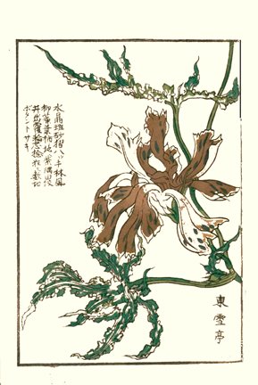 photo9.jpg