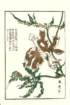 photo9_small.jpg