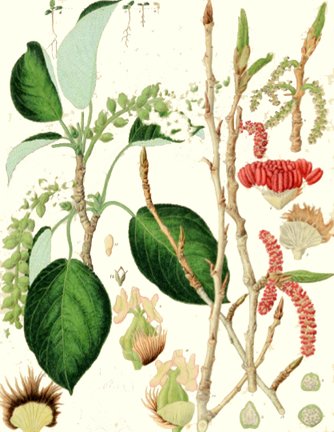 photo11.jpg