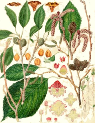 photo26.jpg