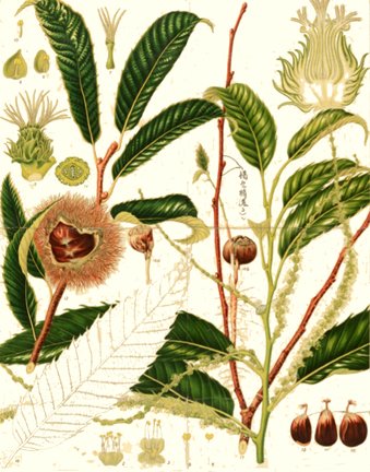 photo30.jpg