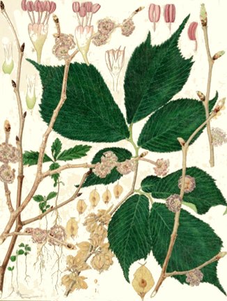 photo36.jpg