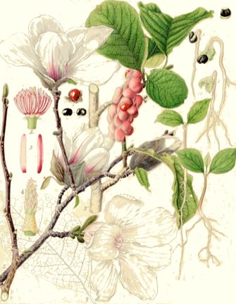 photo42.jpg