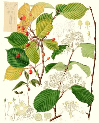 photo46.jpg