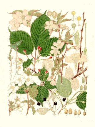 photo51.jpg