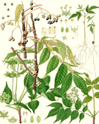 photo57.jpg