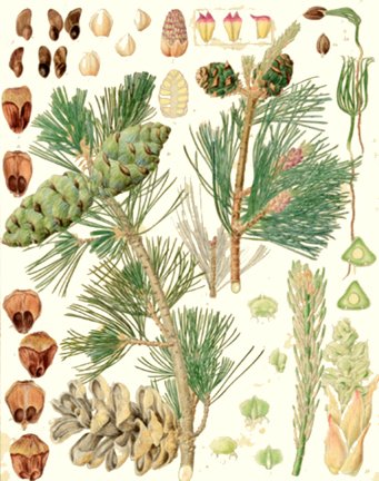 photo6.jpg