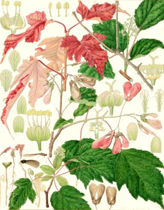 photo64.jpg