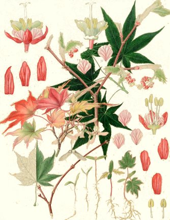 photo66.jpg