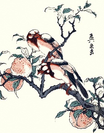 photo18.jpg