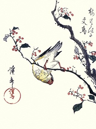 photo22.jpg