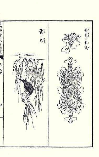 photo.jpg