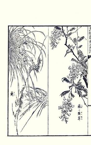 photo40.jpg