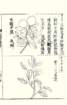photo105_small.jpg