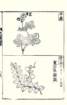 photo11_small.jpg