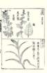 photo13_small.jpg