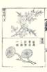 photo16_small.jpg