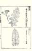 photo23_small.jpg