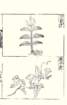 photo53_small.jpg