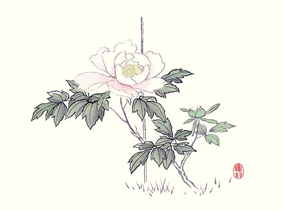 photo19.jpg