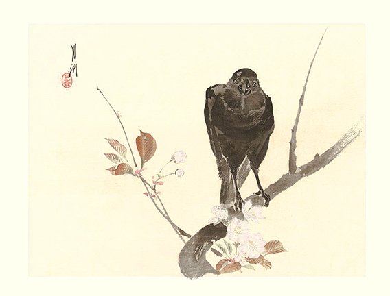 photo12.jpg