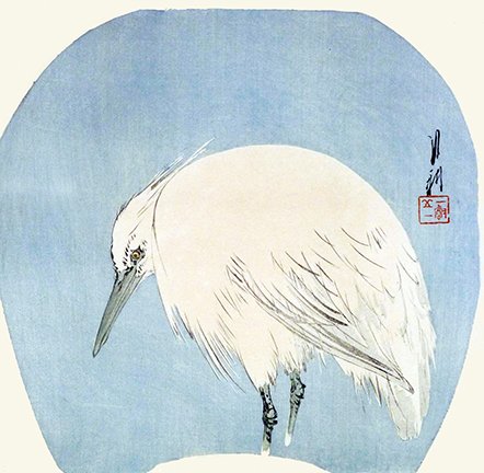 photo16.jpg