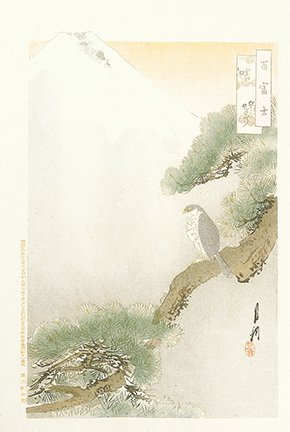 photo17.jpg