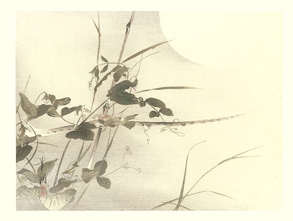 photo6.jpg